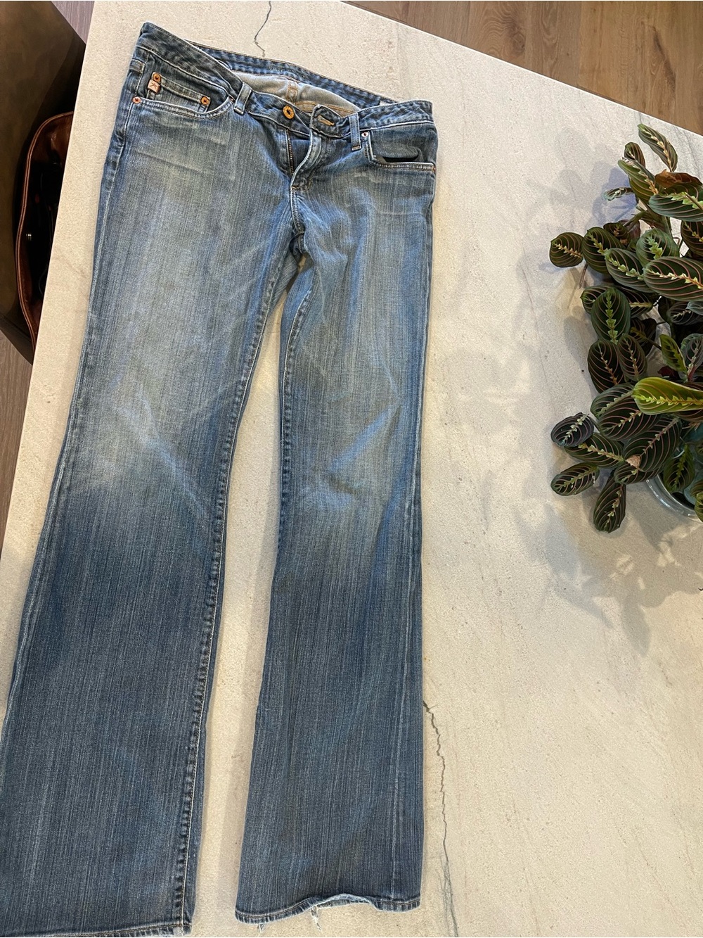 Big Star Sweet Women's Light Wash Low Bootcut Jeans 31XXL